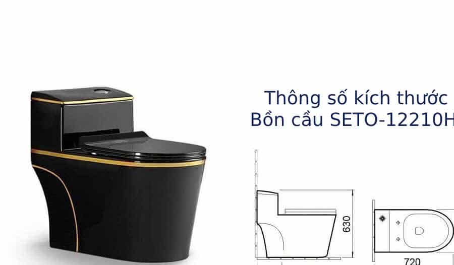 Thông Số Bồn Cầu Seto-12220Hj