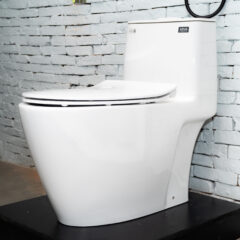 Ban Cau Mot Khoi Inax Ac 902Vn 1