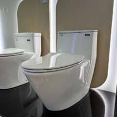 Thông Tin Bàn Cầu Một Khối Inax Ac-919Vrn Nắp Cf-606Vs