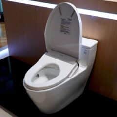 Bàn cầu một khối TOTO MS625DW11 kèm nắp rửa điện tử WASHLET dòng S7 TCF4911Z Tính Năng Bồn Cầu Toto Ms625Dw11 Kèm Nắp Rửa Điện Tử Washlet Dòng S7 Tcf4911Z