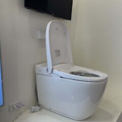 Bàn Cầu Thông Minh Inax Ac-819Vn Saras