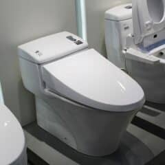 Bồn Cầu Một Khối Inax Ac-1008Vrn