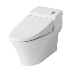 Bàn cầu một khối INAX AC-1008VRN