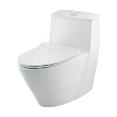 Bàn cầu một khối INAX AC-919VRN nắp CF-606VS