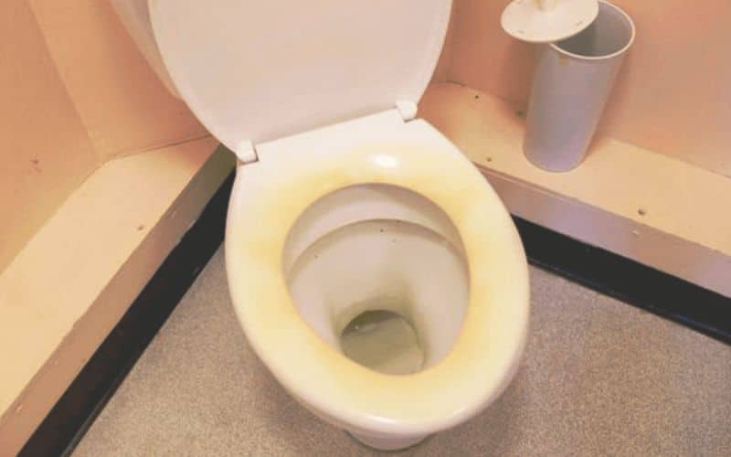 Hậu Quả Khi Mua Thiết Bị Vệ Sinh Trôi Nổi Giá Rẻ