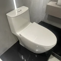 Bồn Cầu Một Khối Grohe 39990000 Bau Ceramic - Nhà Tắm Việt