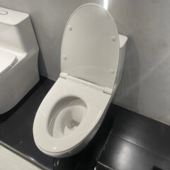 Bồn Cầu Một Khối Grohe 39990000 Bau Ceramic - Nhà Tắm Việt