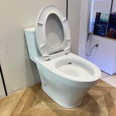 Bon Cau Toto Ms857Dt2 4