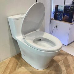 Bon Cau Toto Ms857Dt2 5
