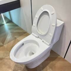 Bồn Cầu 1 Khối Toto Ms857Dt8 Nắp Đóng Êm Tc600Vs - Nhà Tắm Việt