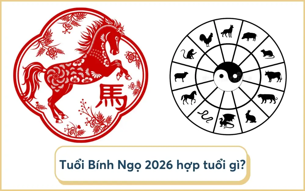 Năm 2026 là năm con gì? Mệnh gì? Hợp với tuổi nào? Năm 2026 Là Năm Con Gì? Cùng Nhà Tắm Việt Tìm Hiểu Bài Viết Trên