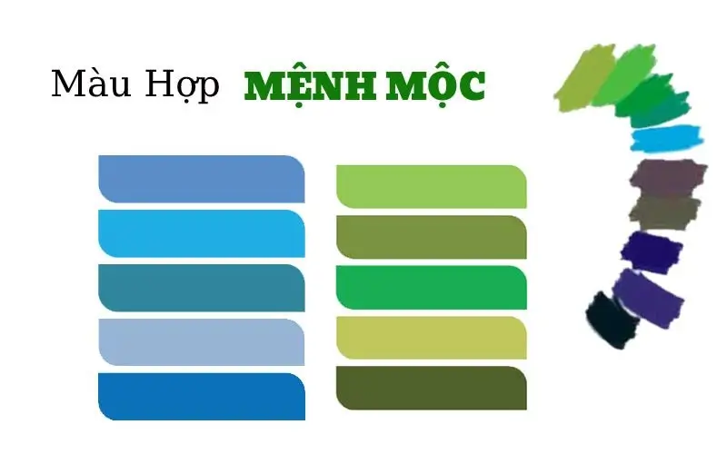 Tuổi Mậu Thìn sinh năm 1988 mệnh gì? Hợp màu gì? 1988 hợp tuổi nào? Mậu Thìn Sinh Năm 1988 Hợp Màu Gì, Kỵ Màu Gì? Tìm Hiểu Bài Viết Tại Nhà Tắm Việt