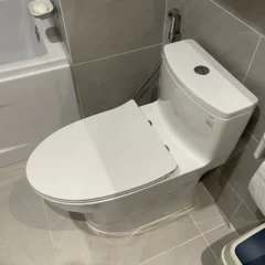 Bồn Cầu 1 Khối Toto Ms885Dt8 Nắp Đóng Êm Tc600Vs Chính Hãng Giá Tốt Tại Nhà Tắm Việt