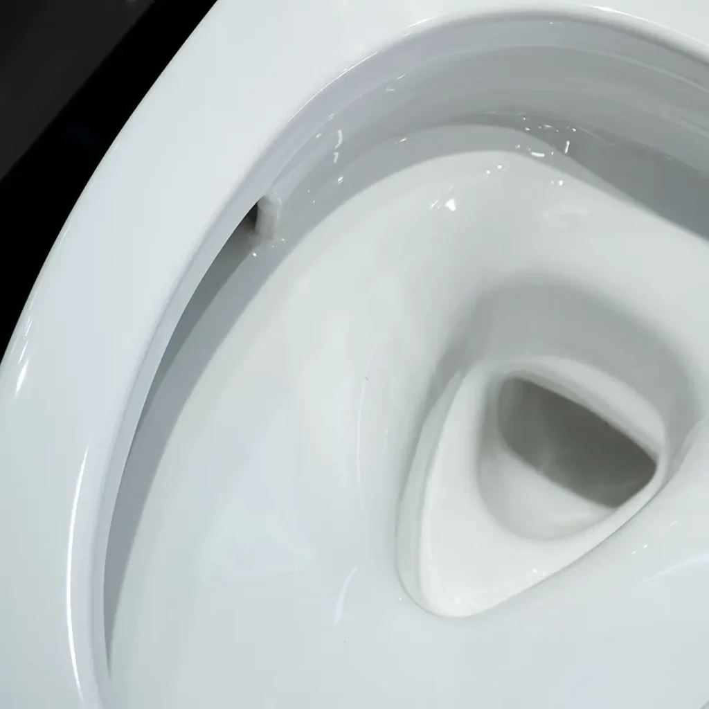 Đặc Điểm Nổi Bật Của Bồn Cầu 1 Khối Toto Ms885Dt8 Nắp Đóng Êm Tc600Vs