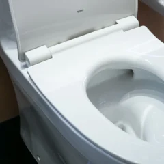 Bồn Cầu 1 Khối Toto Ms885Dt8 Nắp Đóng Êm Tc600Vs Chính Hãng Giá Tốt Tại Nhà Tắm Việt