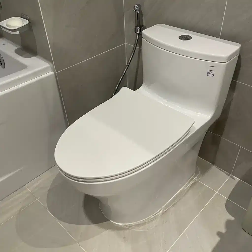 Bồn Cầu 1 Khối Toto Ms885Dt8